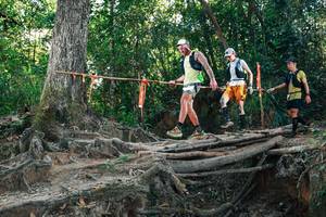 BIB: 
                            <button type="button" onclick="openModal(27752033)" class="btn btn-primary btn-sm float-right btn-popup" data-toggle="modal" data-target=".modal-high-quality">
                        <i class="fas fa-shopping-cart"></i> Add to Cart
                    </button>
                                            <button type="button" onclick="isThisMe(27752033, true)" class="btn btn-success btn-sm float-right btn-popup btn-isme hidden" data-toggle="tooltip" data-placement="bottom" title="นี่คือรูปของคุณใช่ไหม คลิกที่นี่เพื่อเอาเข้าอัลบั้ม">
                        <i class="fas fa-plus"></i> Add to album
                    </button>
                    <button type="button" onclick="isThisMe(27752033, false)" class="btn btn-warning btn-sm float-right btn-popup btn-isnotme hidden">
                        <i class="fas fa-ban"></i> Remove from album
                    </button>